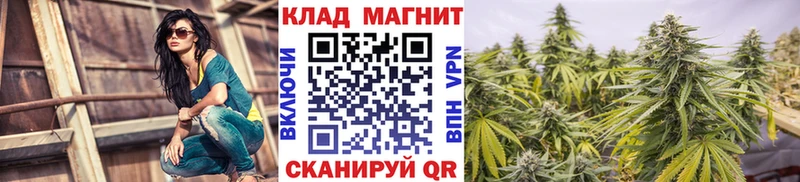 Все наркотики Протвино СК  Гашиш  Кокаин 